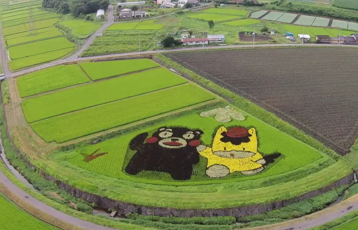 rice-feild-art7jpg.jpg