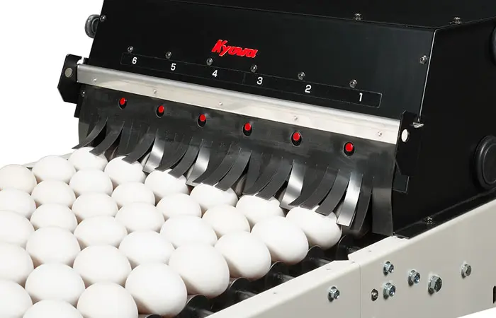 egg11.jpg