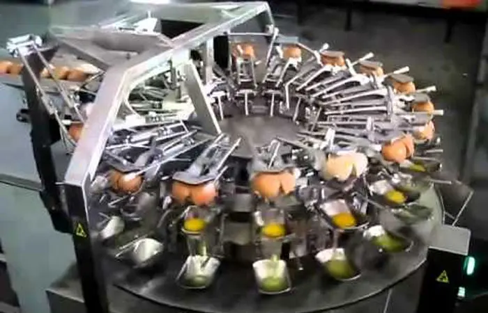 egg14.jpg