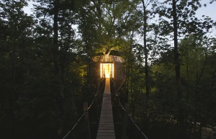 tree-house-gardeshgari7.jpg