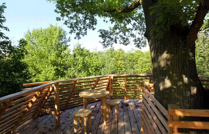 tree-house-gardeshgari8.jpg
