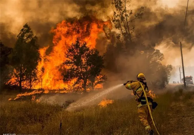 fire2.jpg