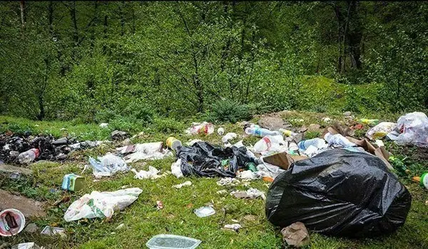 zobale7.jpg