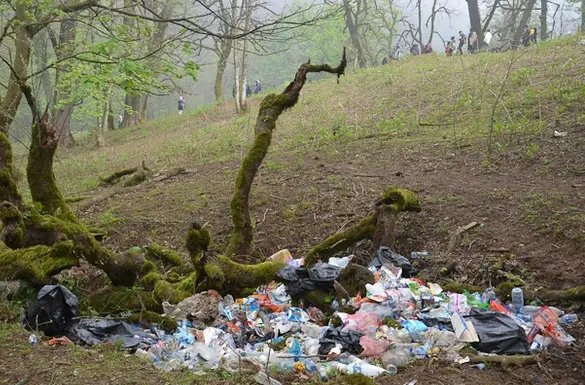 zobale2.jpg