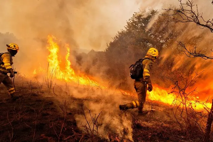 fire3.jpg