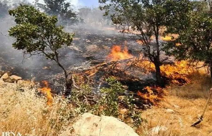 fire.jpg