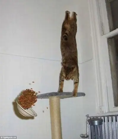 khatar3.jpg