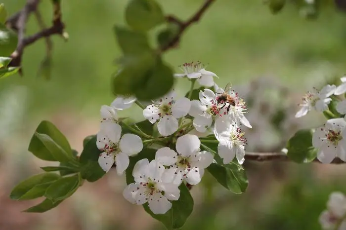 spring6.jpg