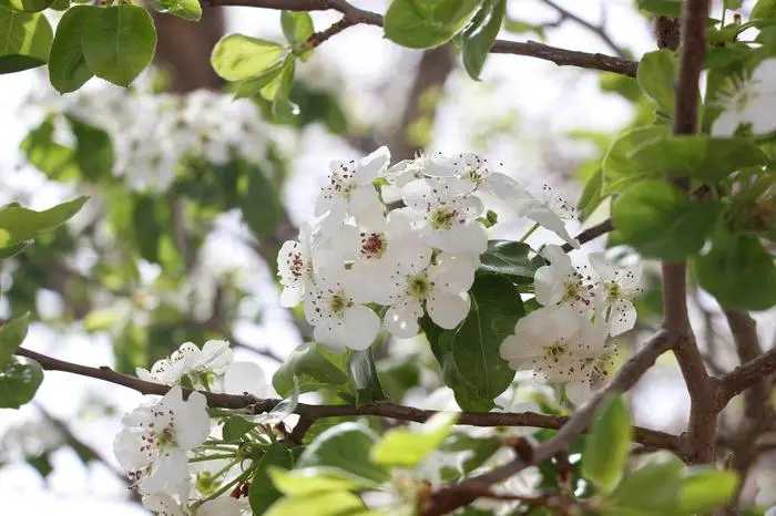 spring4.jpg