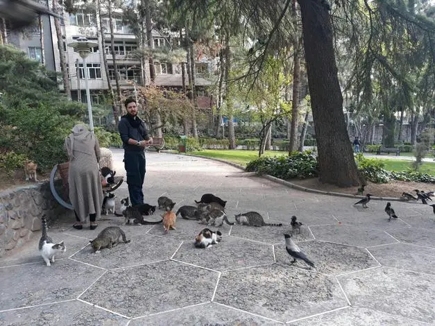 mehraban6.jpg