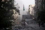 dameshgh5