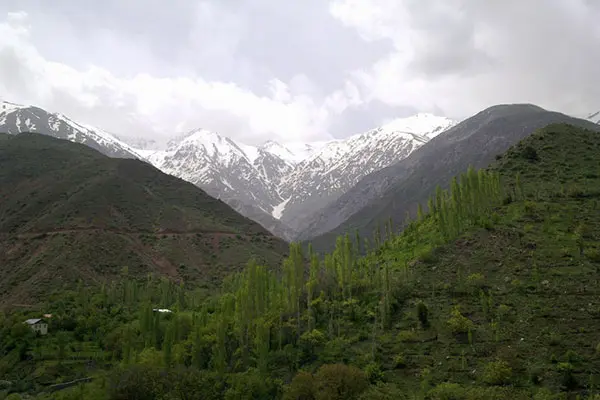 alamoot02.jpg