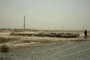 18-6-27-12564530