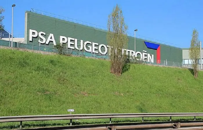 sitro1.jpg