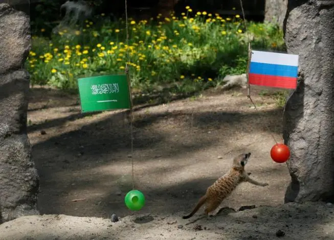 pishbini10.jpg