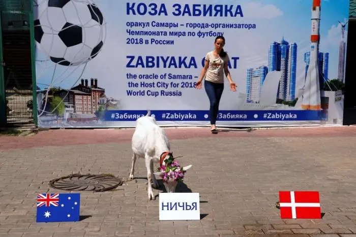 pishbini4.jpg