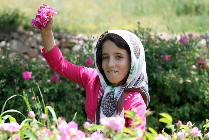 golmohammadi.jpg