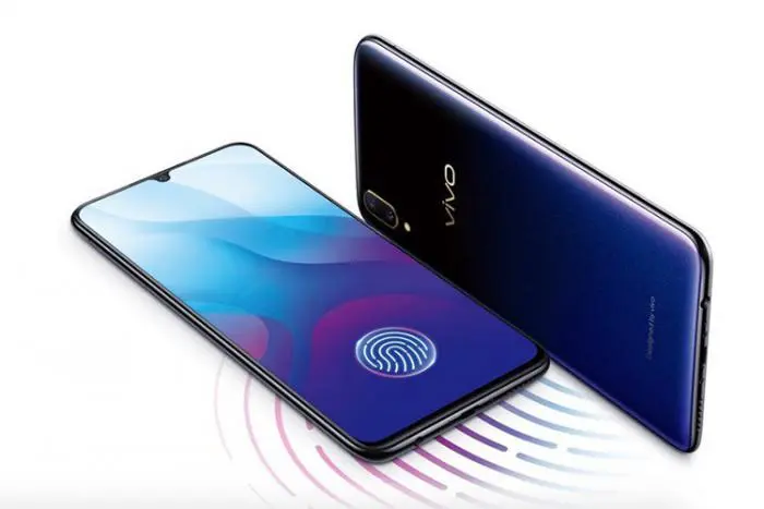 vivo1.jpg