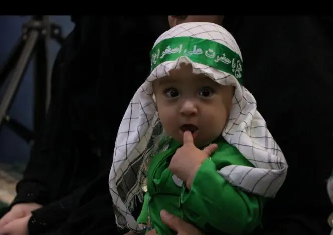 shirkharegan5.jpg