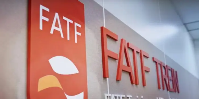 fatf59.jpg