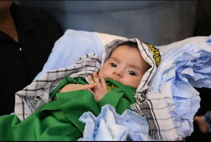 shirkharegan6.jpg