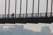 57752709