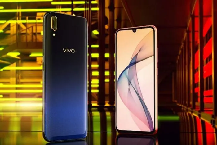 vivo.jpg