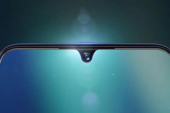 vivo4.jpg