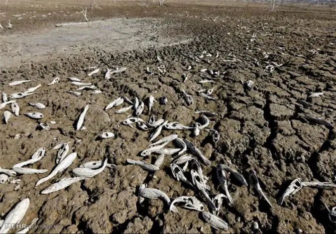 Environment1.jpg