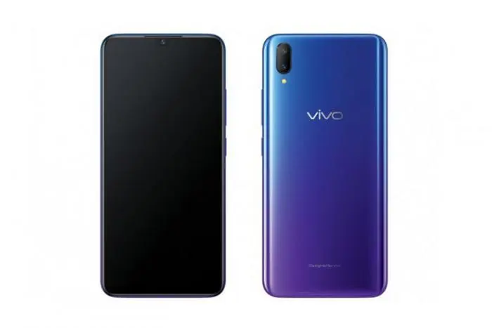 vivo5.jpg