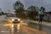 29191031