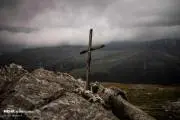 296383967t76t