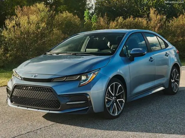 corolla.jpg