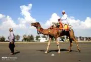 Tabestan11