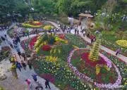 ChinaFlow6