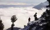montakhab8