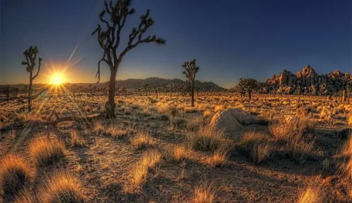 arizona10.jpg