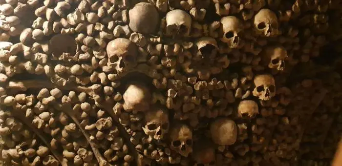 sklet13.jpg