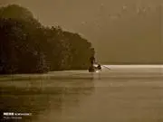 2976691IMG2044