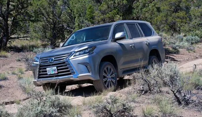 lexus15.jpg