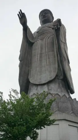 mojasamee3.jpg