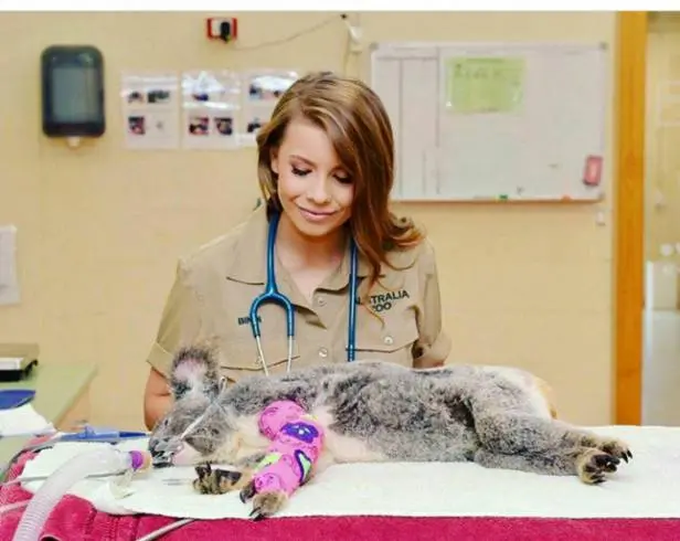 zoo-hospital07.jpg