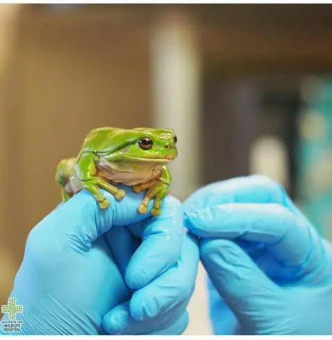 zoo-hospital12.jpg