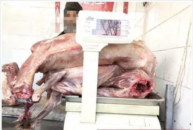 gosht.jpg