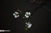 img8