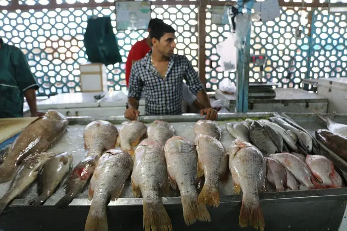 mahi.jpg