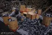 9775714584