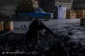 9775720521