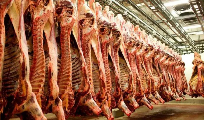 gosht1.jpg