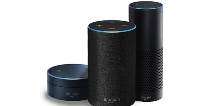 bolandgooamazon1.jpg